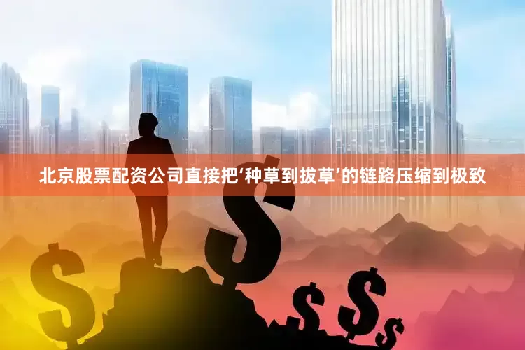 北京股票配资公司直接把‘种草到拔草’的链路压缩到极致