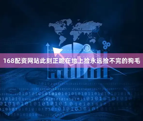 168配资网站此刻正跪在地上捡永远捡不完的狗毛