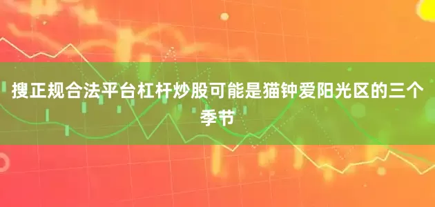 搜正规合法平台杠杆炒股可能是猫钟爱阳光区的三个季节