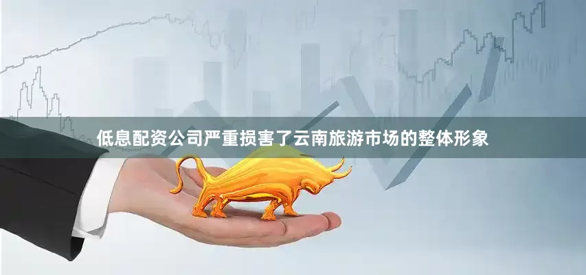 低息配资公司严重损害了云南旅游市场的整体形象