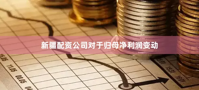 新疆配资公司　　对于归母净利润变动